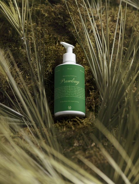 Hair Repair & Shine Duo shampoo and conditioner presented in elegant retail packaging
