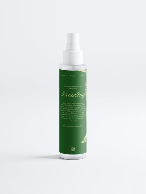 Hair Repair & Shine Duo gift set with premium packaging featuring nourishing hair care products